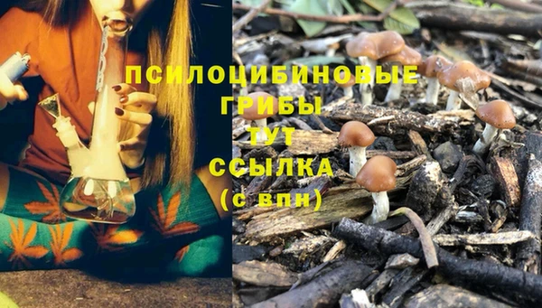 2c-b Майский