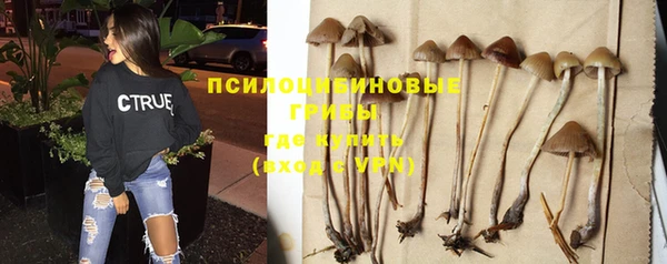 кокс Магадан