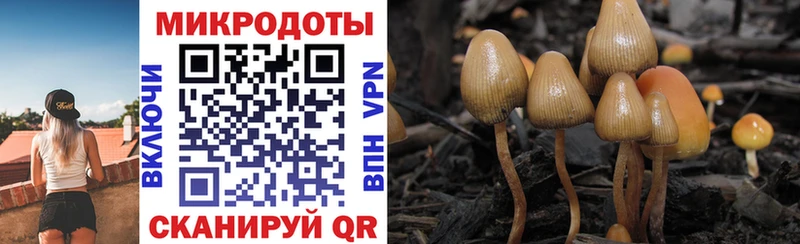 где продают наркотики  Енисейск  Галлюциногенные грибы ЛСД 