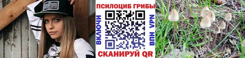 Галлюциногенные грибы прущие грибы Енисейск